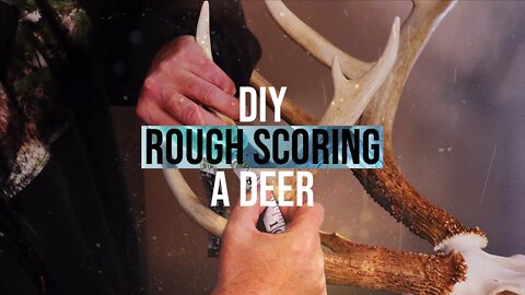 DIY: Rough Score Your Buck