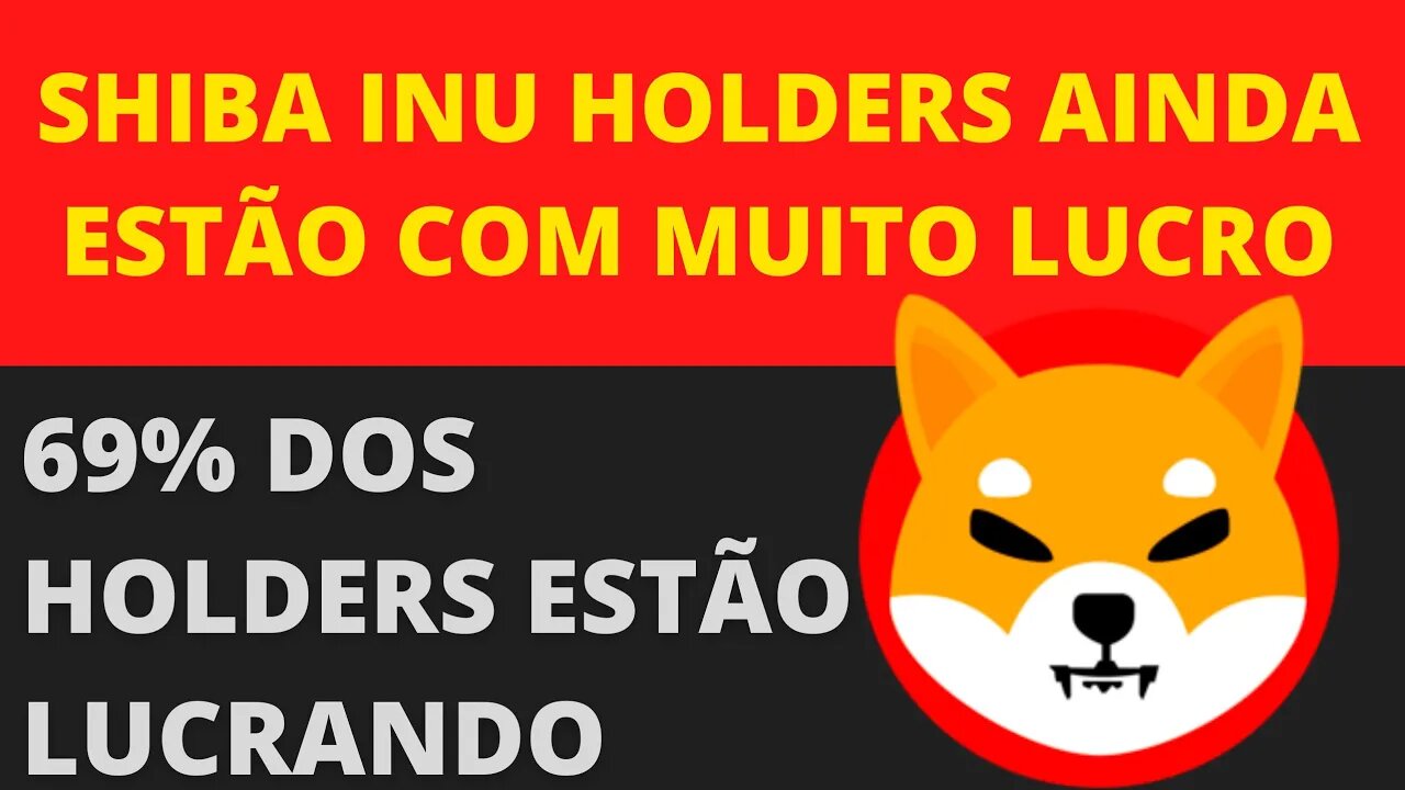 Mesmo com as quedas os Holders de shiba Inu estão no lucro - 40