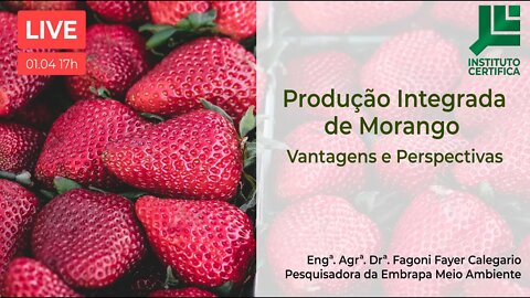 Produção Integrada de Morangos