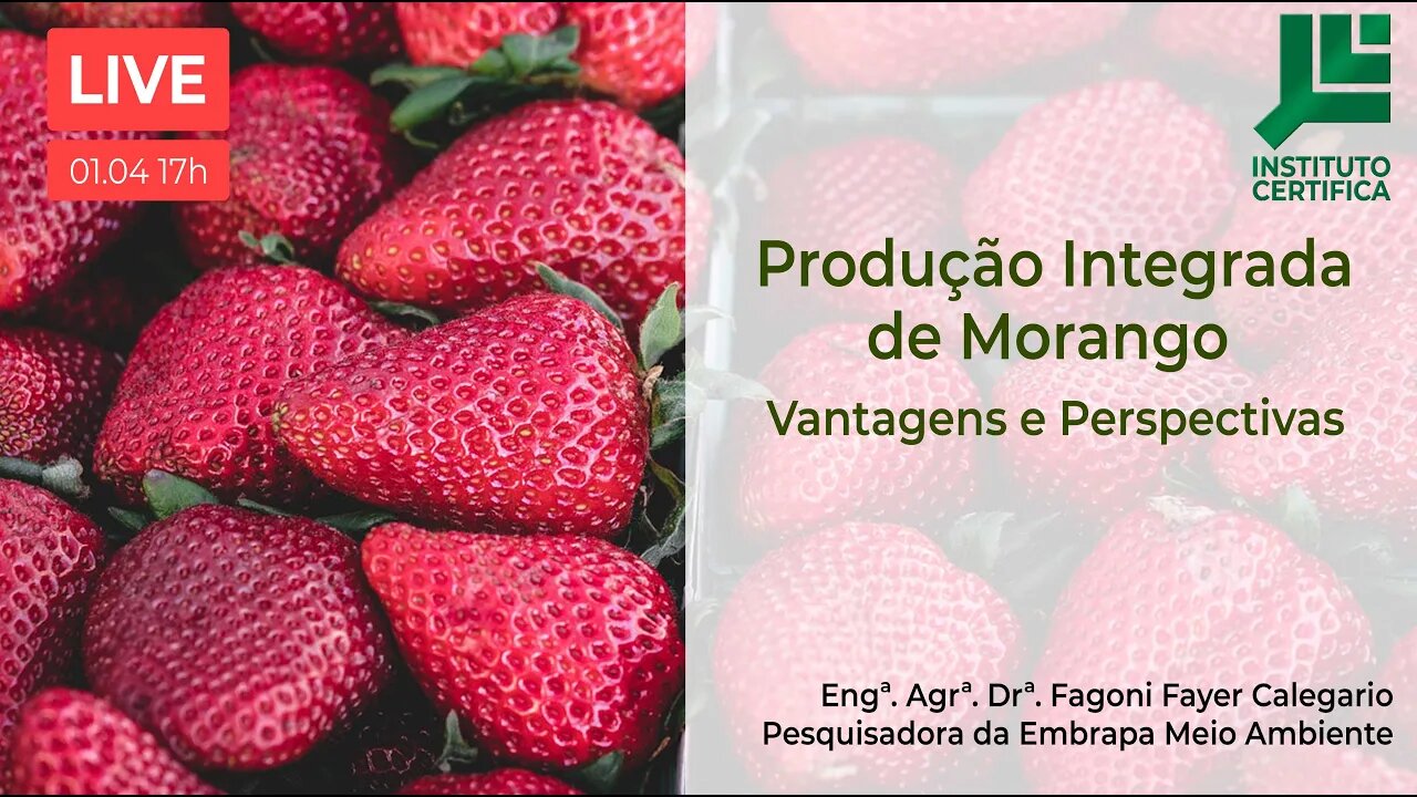 Produção Integrada de Morangos