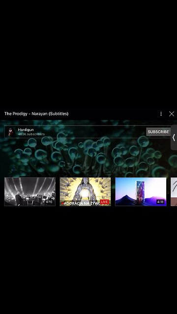 The Prodigy : Narayan : music clip