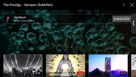 The Prodigy : Narayan : music clip