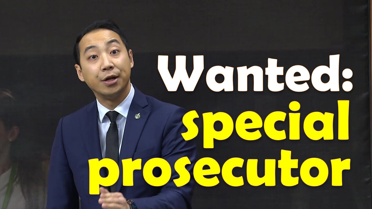 Wanted: a special prosecutor, not special rapporteur