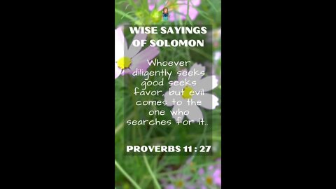 Proverbs 11:27 | Wise Sayings of Solomon