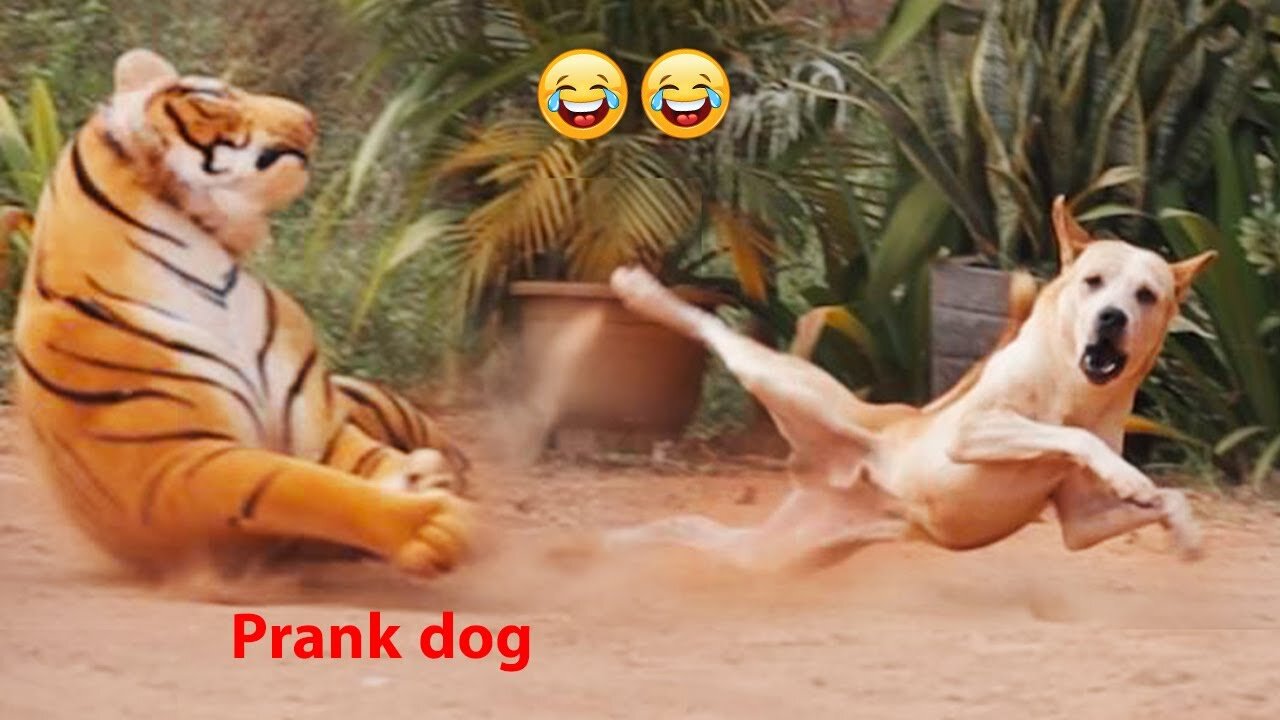 Funny Dog Prank with Fake Tiger