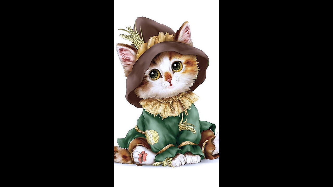 Funny Kittens of _ Cutest Kittens Compilation!