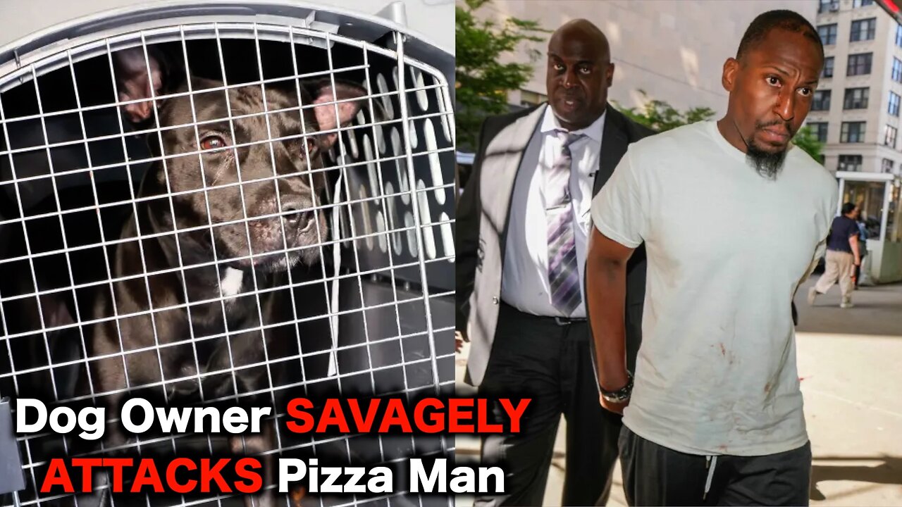 Pit Bull Owner SAVAGELY Attacks Pizza Man