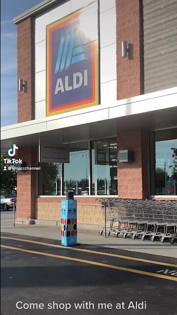 Come shop with me at Aldi ! 12/11/21