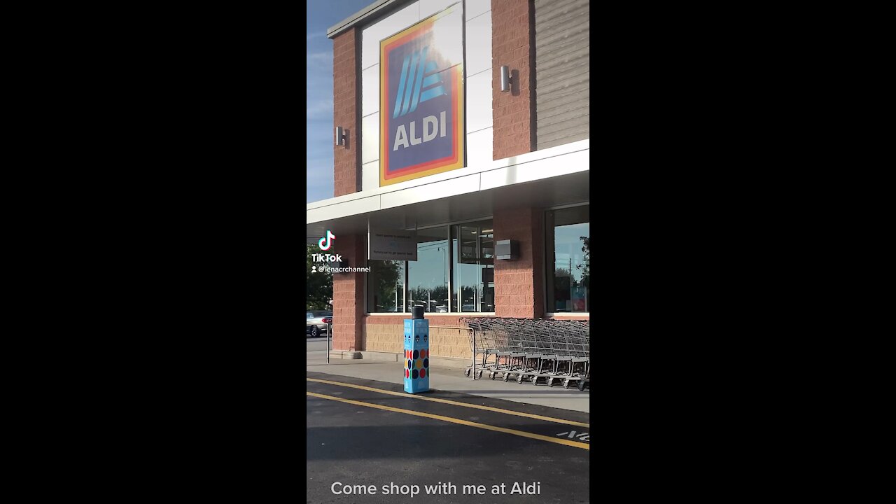 Come shop with me at Aldi ! 12/11/21