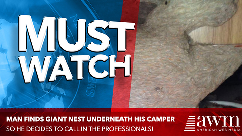 Man Goes To Move His Camper When He Spots Deadly Problem, Thanks God He’s Still Alive