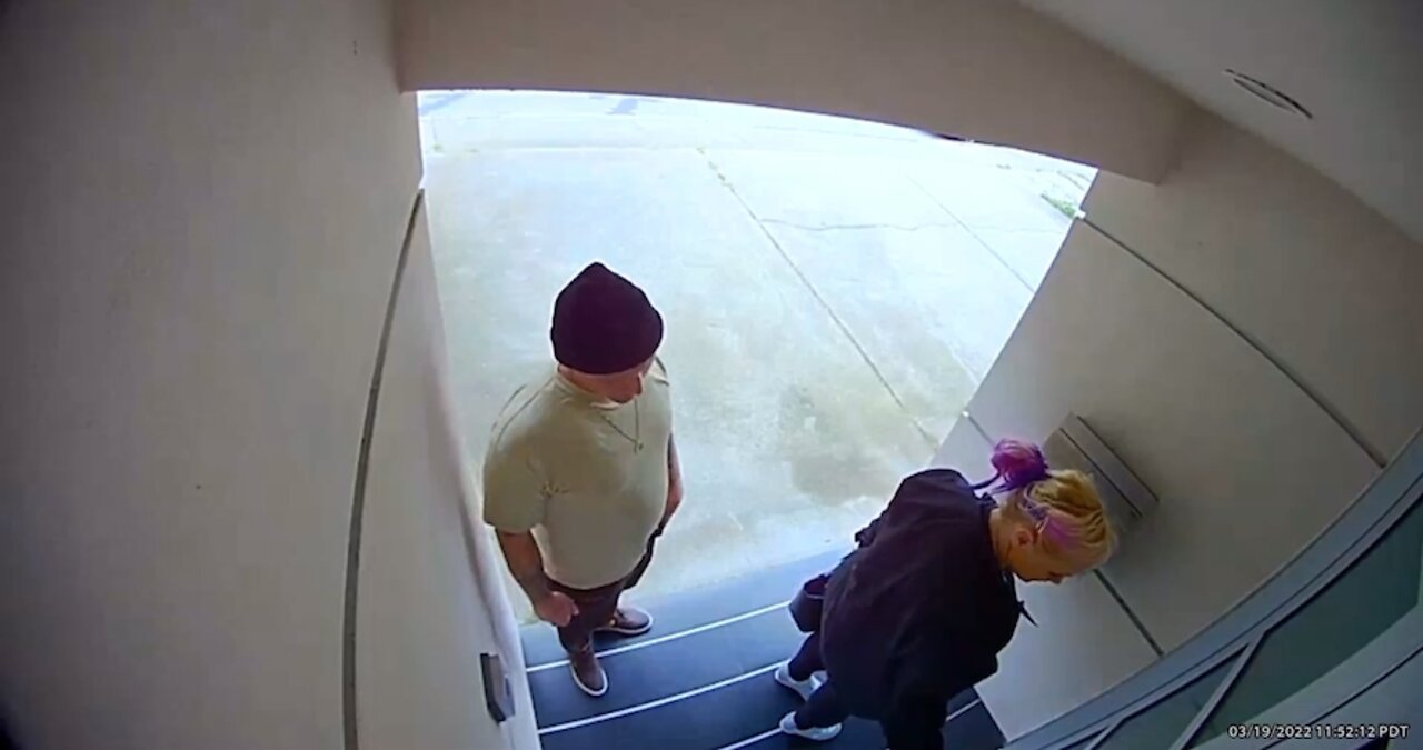 Couple break into mailbox and steals mail