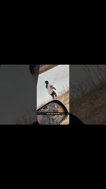 funny|prank|jokes|funny jokes|dad jokes|funny memes|funny video|fun|laughing|funny animal|knock