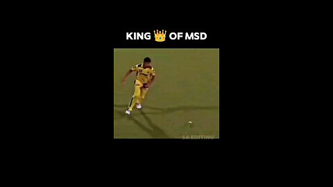 king of msd