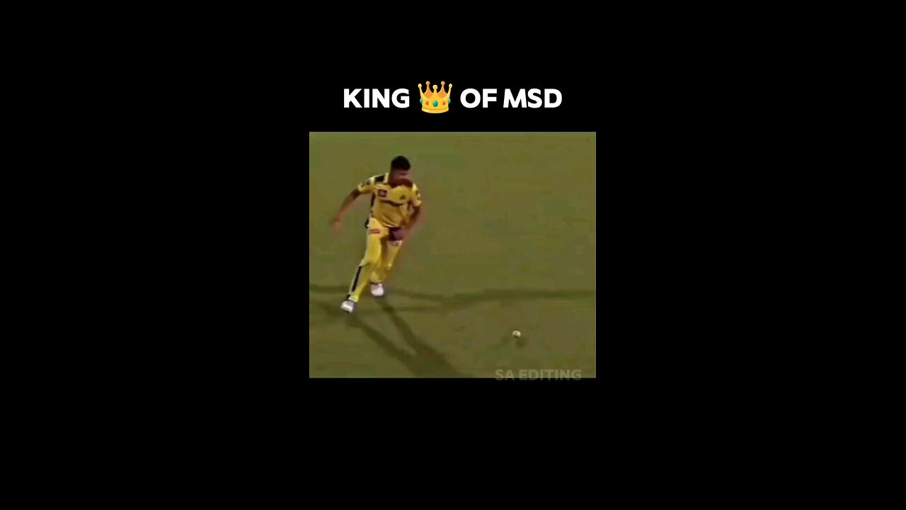 king of msd