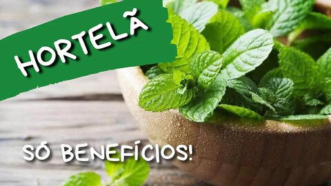 🌿 5 BENEFÍCIOS DA HORTELÃ