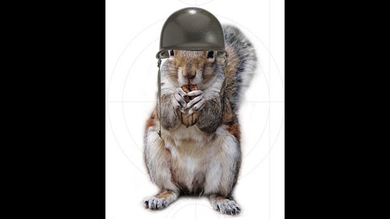 The CW Squirrel Challenge