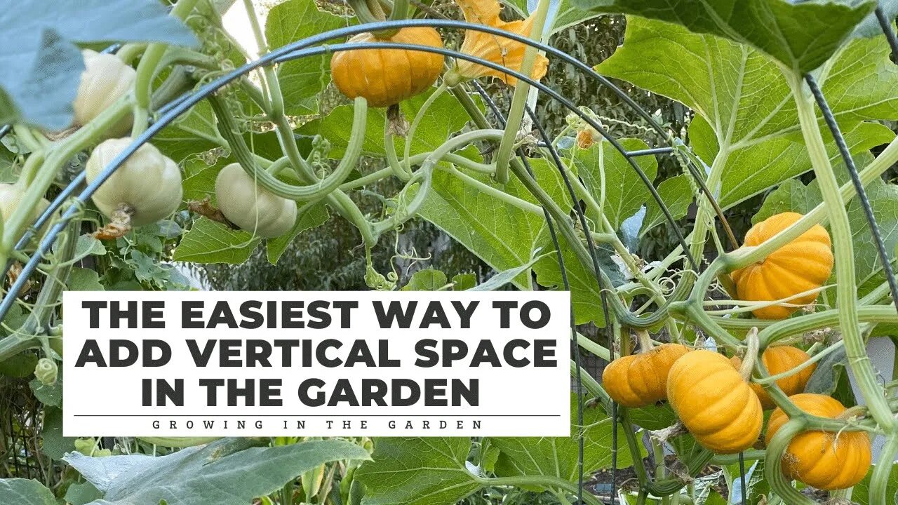 EASY (& CHEAP!) way to ADD VERTICAL GARDENING SPACE: Growing in the Garden