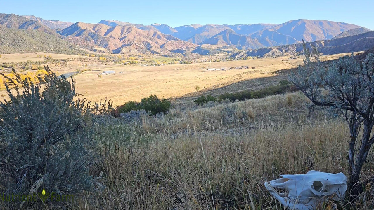 20241024 Skull West Pasture