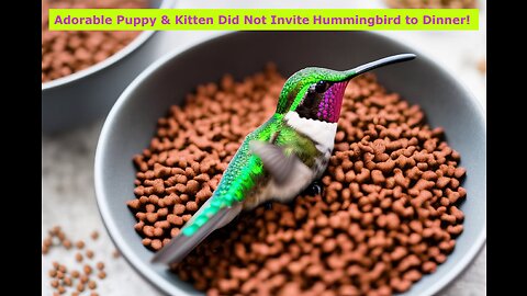 Adorable Puppy & Kitten Find a Bird. This is What Happened!