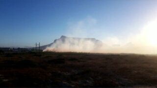 Vegetation Fire