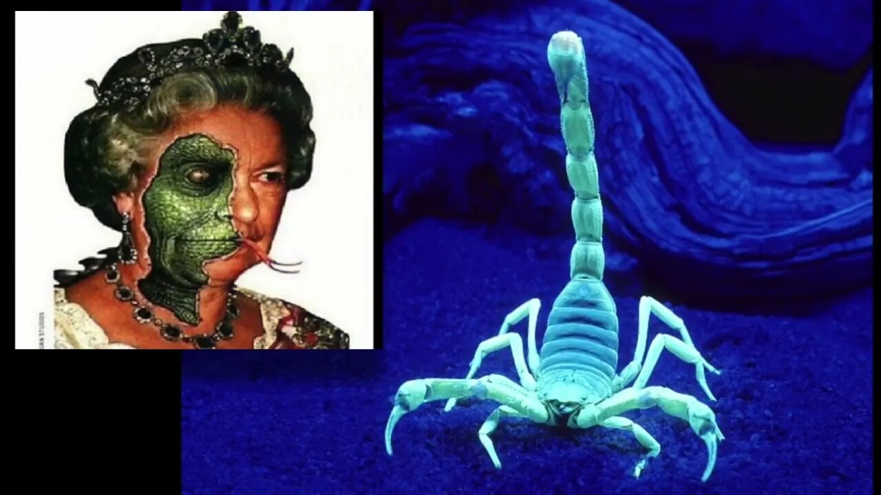 You Are Exiles Part 2 - not on DVD - Jonathan Kleck