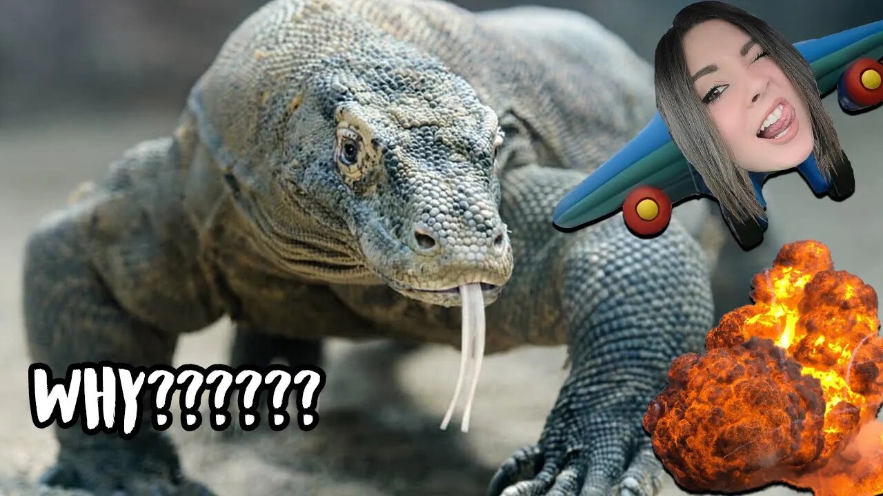 Idiots Get STDs from Lizard?