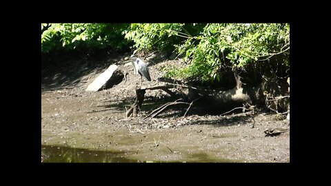 Day along the Cannel