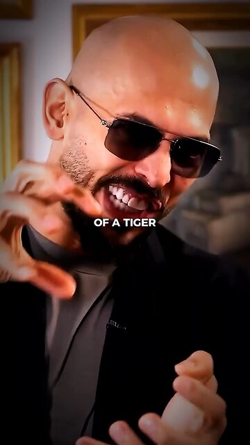 You Didn’t TRY. Motivation 💸