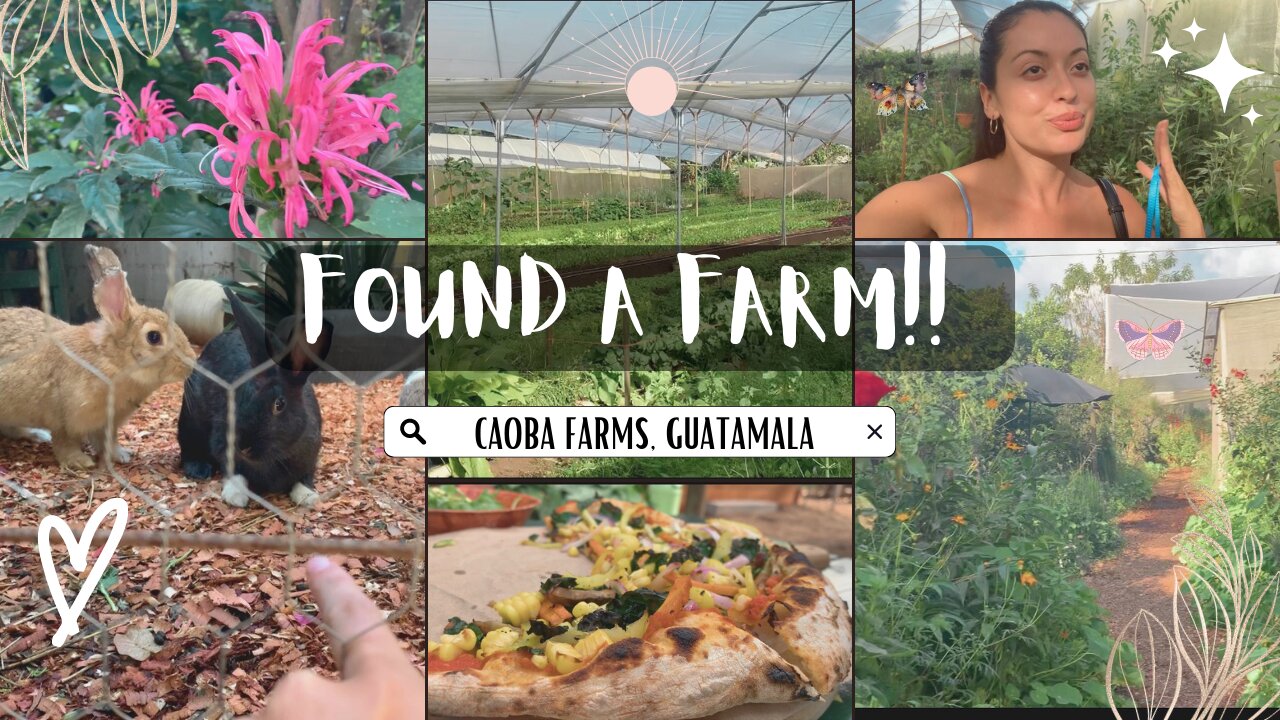 day 12 baby!! stumbled upon a magical farm + driving to the most southern beach in Guatemala!