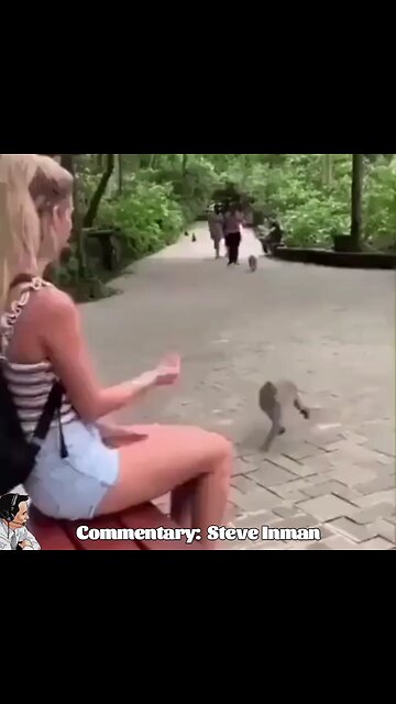 Monkey Ain't Playing