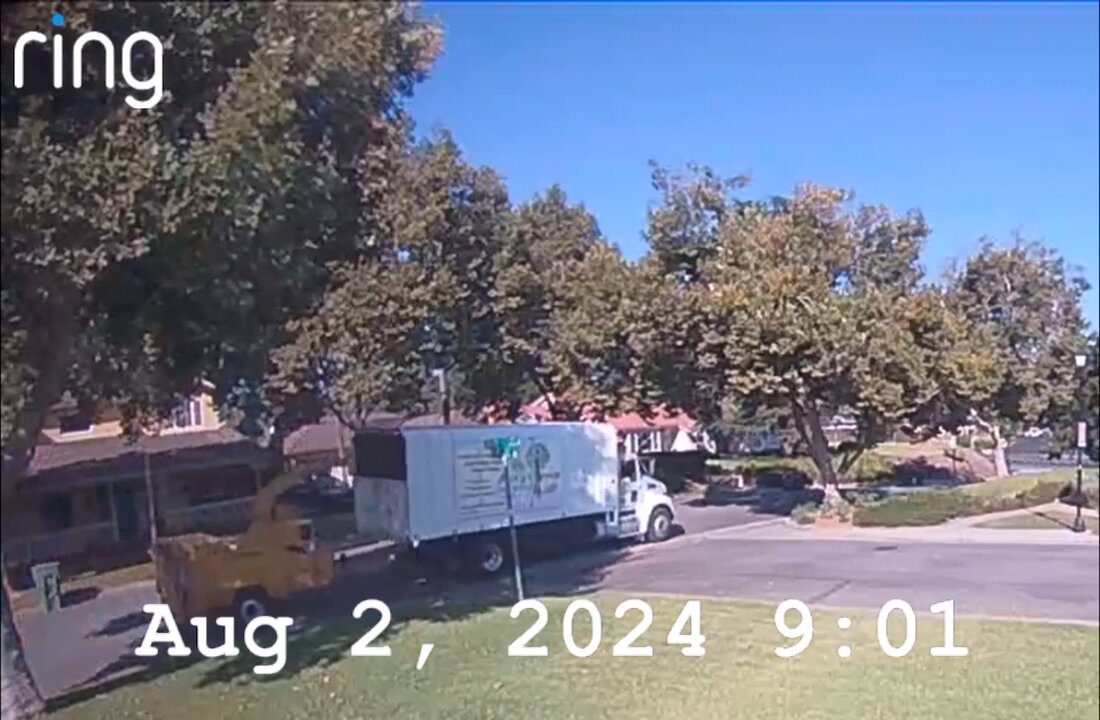 August 2, 2024 9:01 Tree Trimmer