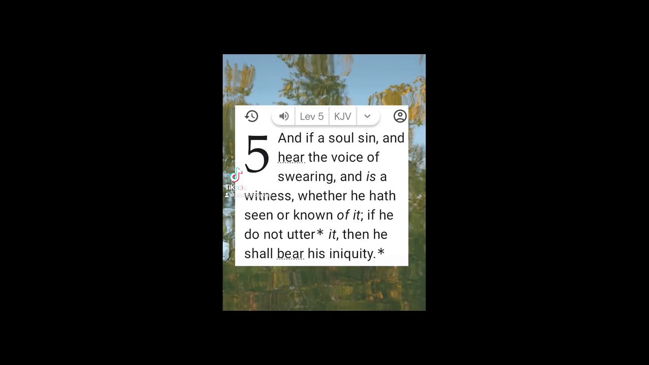 The Sin is on YOU