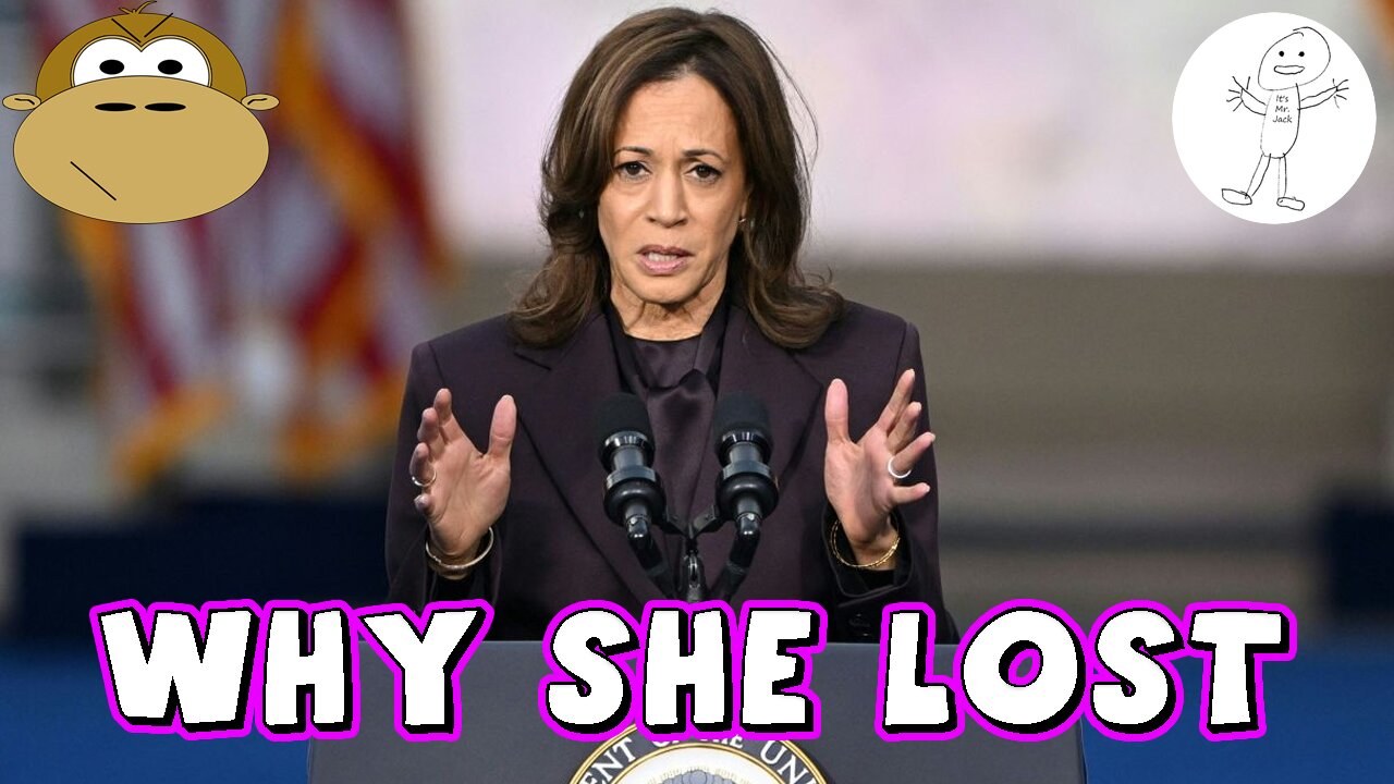 Democrats Don't Get It: Why Kamala Lost - Monkey in the Morning