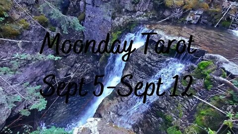 Moonday Tarot - Sept 5-12 - Mercury Rx, Full Moon in Pisces