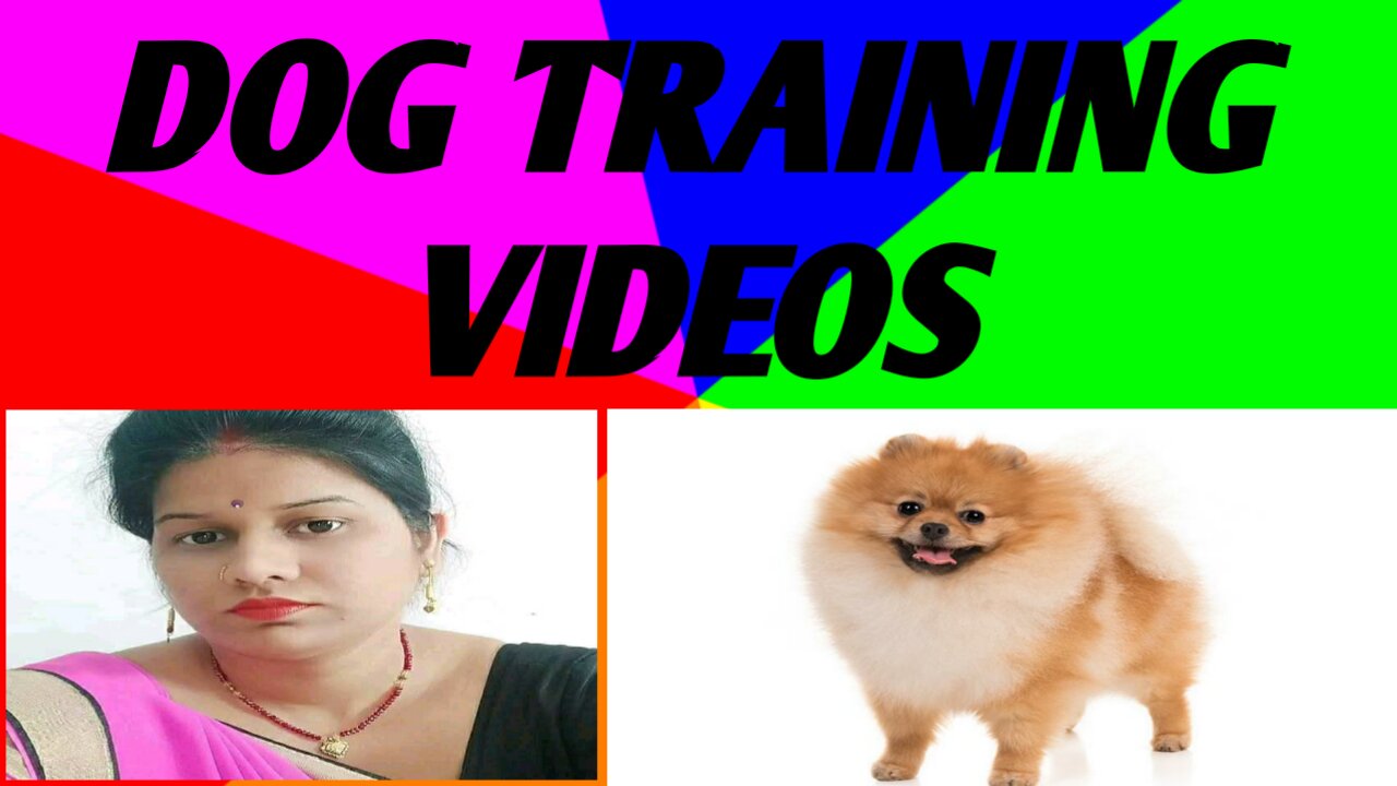 Dog training is career that combines video intrested