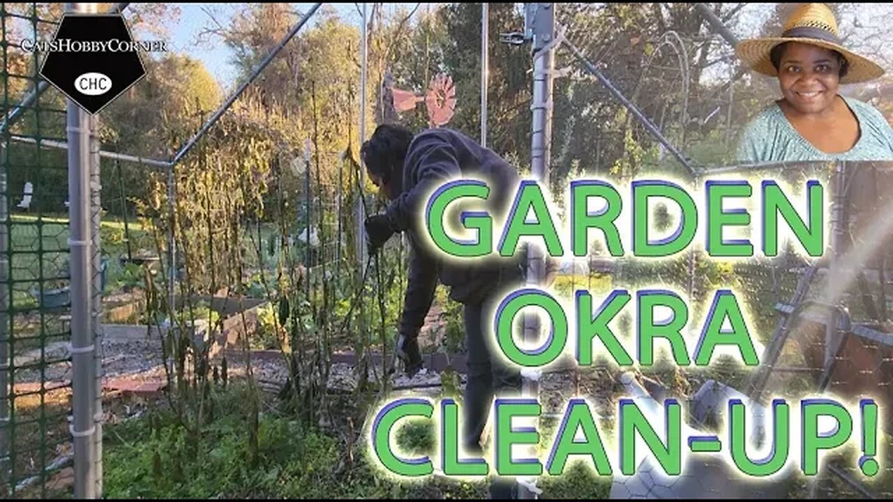 #okra BIN #garden #cleanup - #catshobbycorner