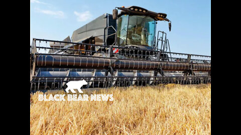 Ukraine - Food And Fertilizer Shortage Threatening Global Calamity