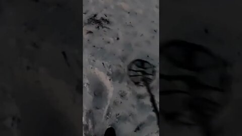 metal detecting found weed vape #shorts