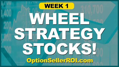 Week 1 Using OptionSellerROI.com - Wheel Strategy Ideas