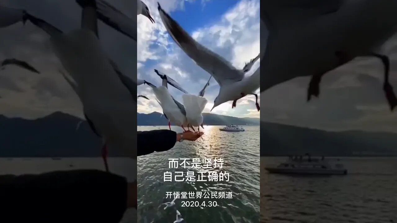 开悟堂世界公民频道 Kai wu tang world citizen chann