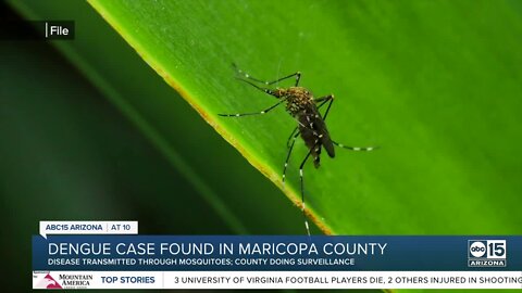 Dengue case found in Maricopa County