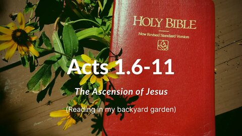 Acts 1:6-11 (The Ascension of Jesus)