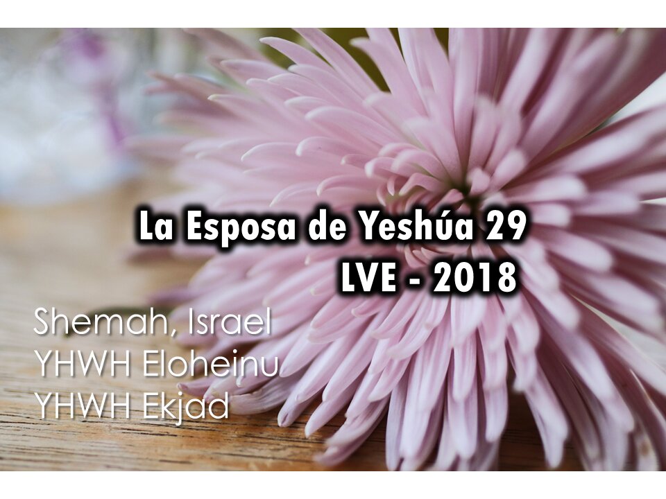 La Esposa de Yeshúa 29 - YHWH Ekjad 8