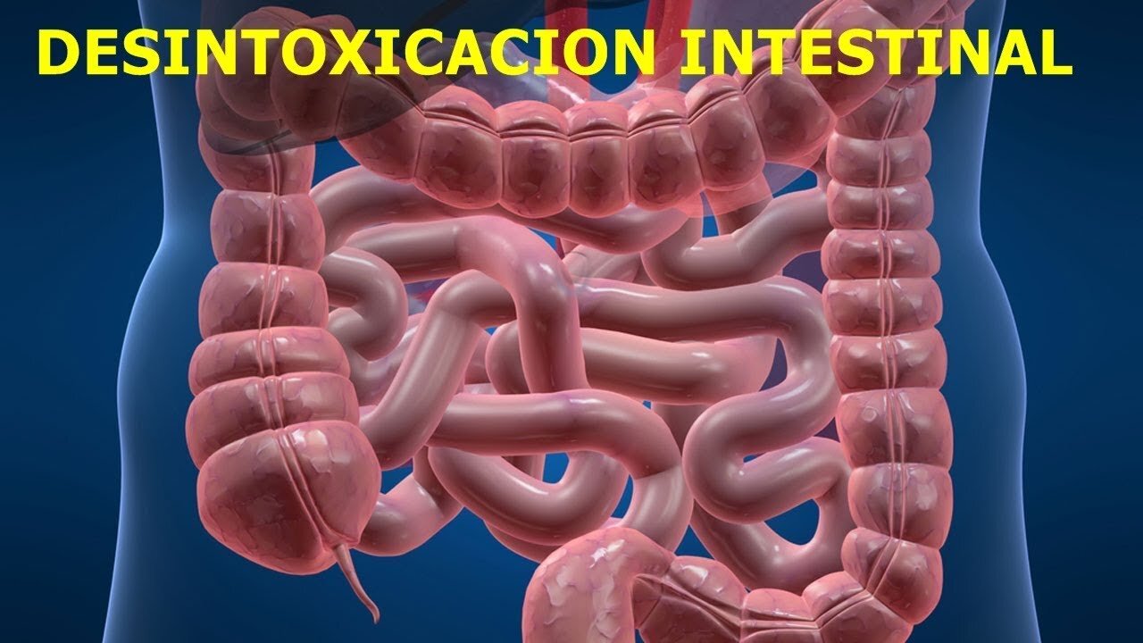 COMO RESTABLECER LA SALUD CON HIGIENE INTESTINAL Y DESINTOXICACION DEL COLON