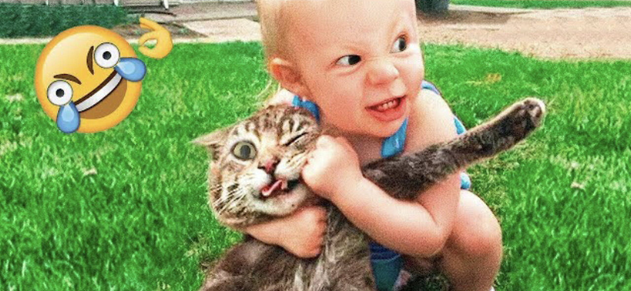 These Funny Cat Memes will Make Your Day 😂 Don’t Try To Hold Back Laughter