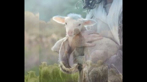 🐑 I am the Good Shepherd 🐑