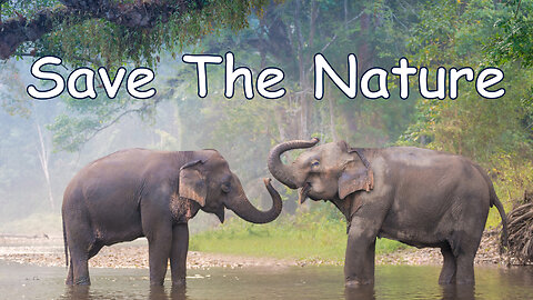 Save The Nature