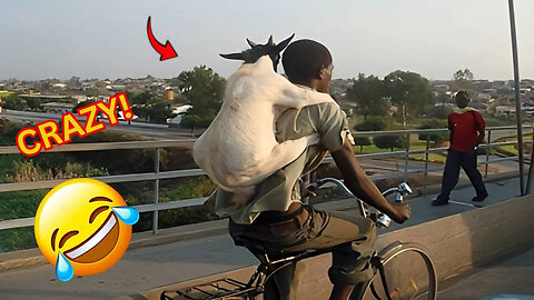 CRAZY Shocking and Funny Moments You’ll Only See in Africa! #Viral #MustWatch Episode 5