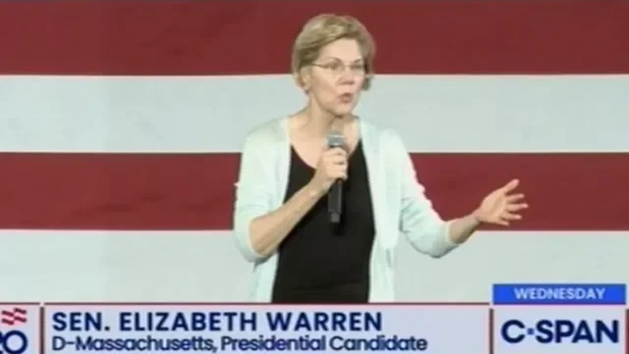 Elizabeth Warren "If There Is A Decision To Be Made In Washington It Has Been Influenced By Money!: