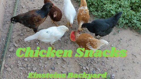 Veggie Chicken
